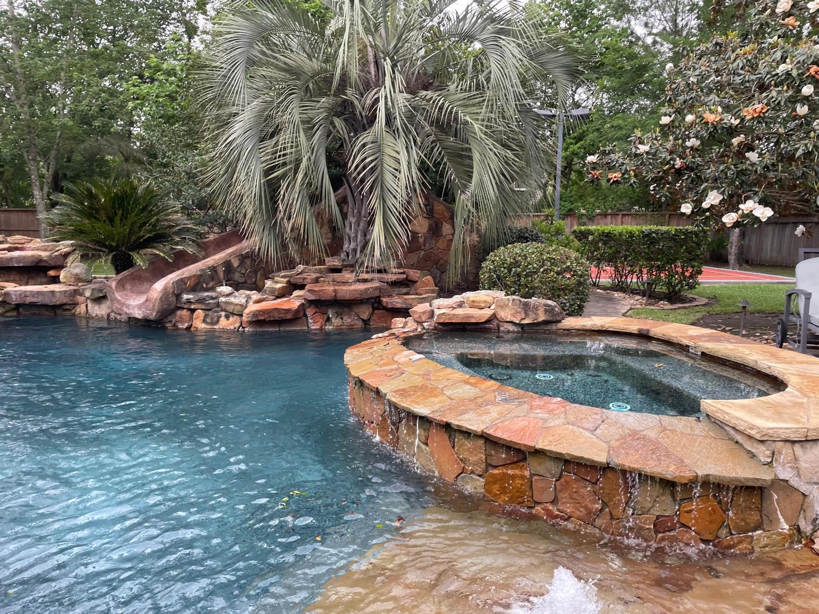 Luxury pool and spa backyard with tropical palm landscaping by TruLeaf